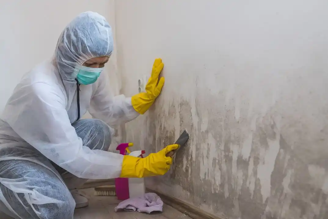 water damage restoration service Salt Valley View
